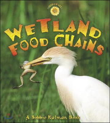 Wetland Food Chains