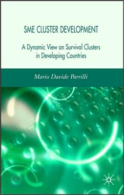 Sme Cluster Development: A Dynamic View of Survival Clusters in Developing Countries