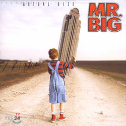 Mr.Big - Actual Size