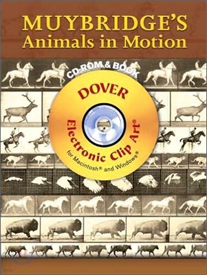 Muybridge's Animals in Motion [With CDROM]