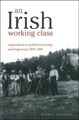 An Irish Working Class: Explorations in Political Economy and Hegemony, 1800-1950