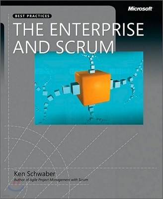 Enterprise and Scrum, The
