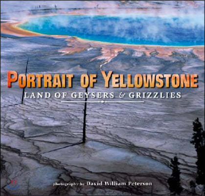 Portrait of Yellowstone: Land of Geysers and Grizzlies