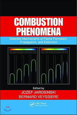 Combustion Phenomena