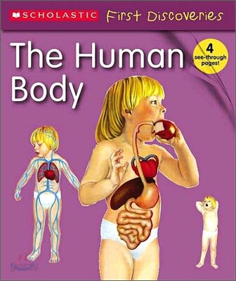 The Human Body