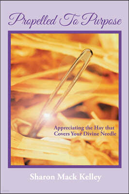 Propelled To Purpose: Appreciating the Hay that Covers Your Divine Needle