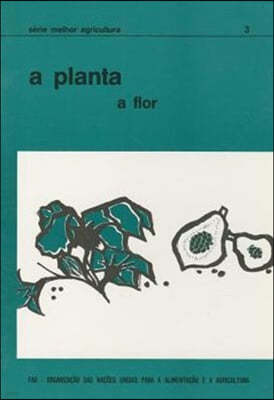 A Planta