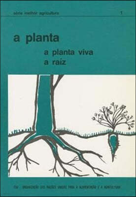 A Planta