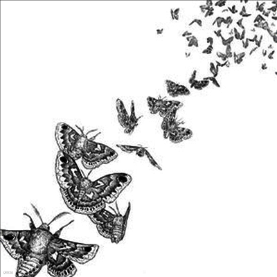 Des Ark — Everything Dies (MP3 Download) 앨범 커버
