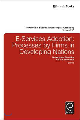 E-Services Adoption: Processes by Firms in Developing Nations