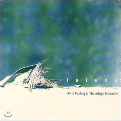 David Darling - Intune