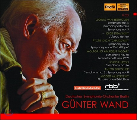 Gunter Wand 귄터 반트와 베를린 도이치 심포니 오케스트라 실황 선집 2 (Beethoven / Stravinsky / Tchaikovsky / Mozart / Bruckner)