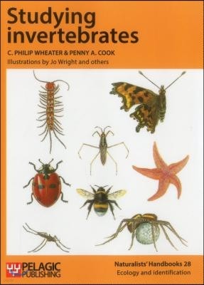 Studying Invertebrates