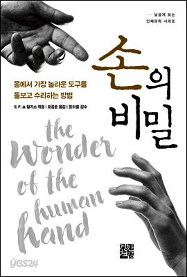 손의 비밀