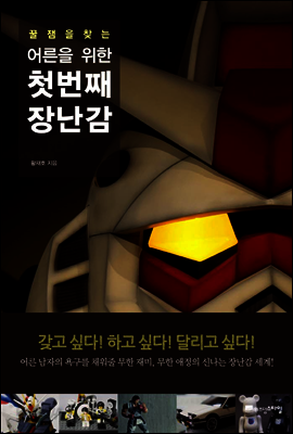 어른을 위한 첫 번째 장난감