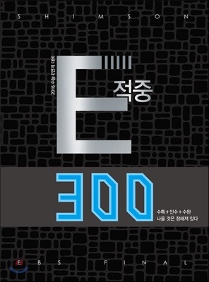 E적중 300 (2016년)