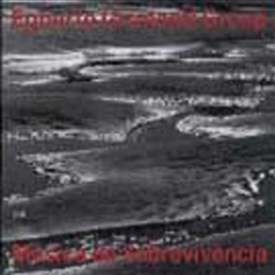 Egberto Gismonti - Musica Di Sobrevivencia (CD)