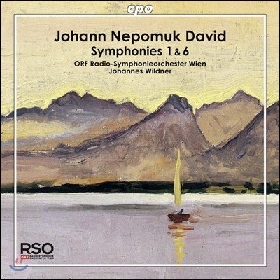 Johannes Wildner  ũ ٺƮ:  1, 6 (Johann Nepomuk David: Symphonies No.1, No.6)