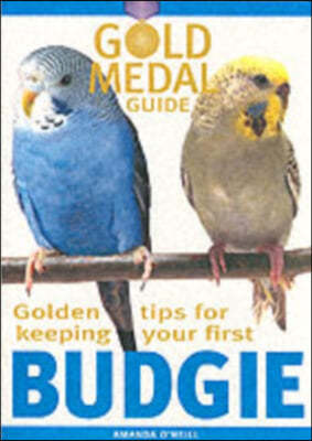 Golden Tips for Keeping Your First Budgie