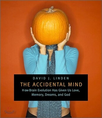 The Accidental Mind