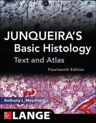 Junqueira's Basic Histology, 14/E