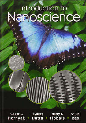 Introduction to Nanoscience