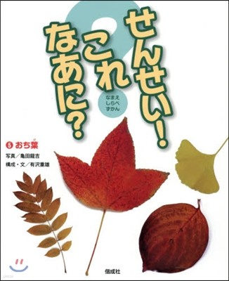 せんせい!これなあに?なまえしらべずかん(5)おち葉