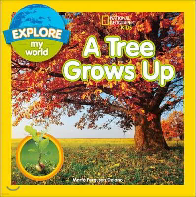 Explore My World: A Tree Grows Up