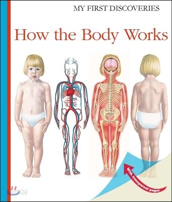 How the Body Works