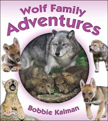 Wolf Family Adventures