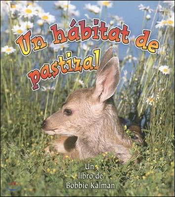 Un Habitat de Pastizal (a Grassland Habitat)