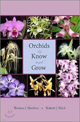 Orchids to Know and Grow