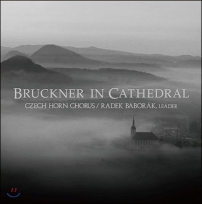 Ales Barta, Czech Horn Chorus, Radek Baborak, Milos Bok — Radek Baborak 브루크너: 교향곡 7번 아다지오, 모테트 [라데크 바보라크 호른 앙상블 편곡반] 앨범 커버