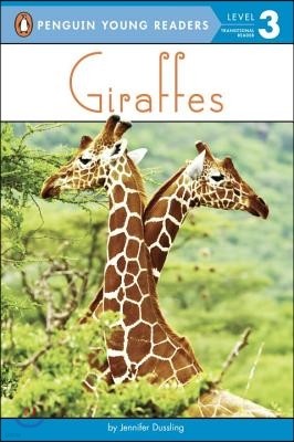 Giraffes