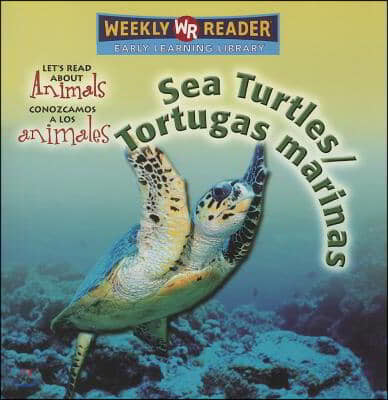 Sea Turtles / Tortugas Marinas