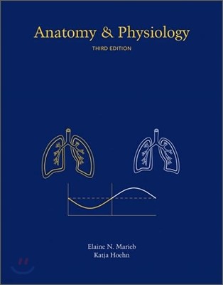 Anatomy & Physiology 3/E