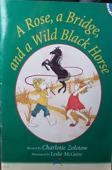 A Rose, a Bridge, and a Wild Black Horse (Hooked on Phonics, Book 29)