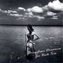 Joe Beck Trio - Brazilian Dreamin'