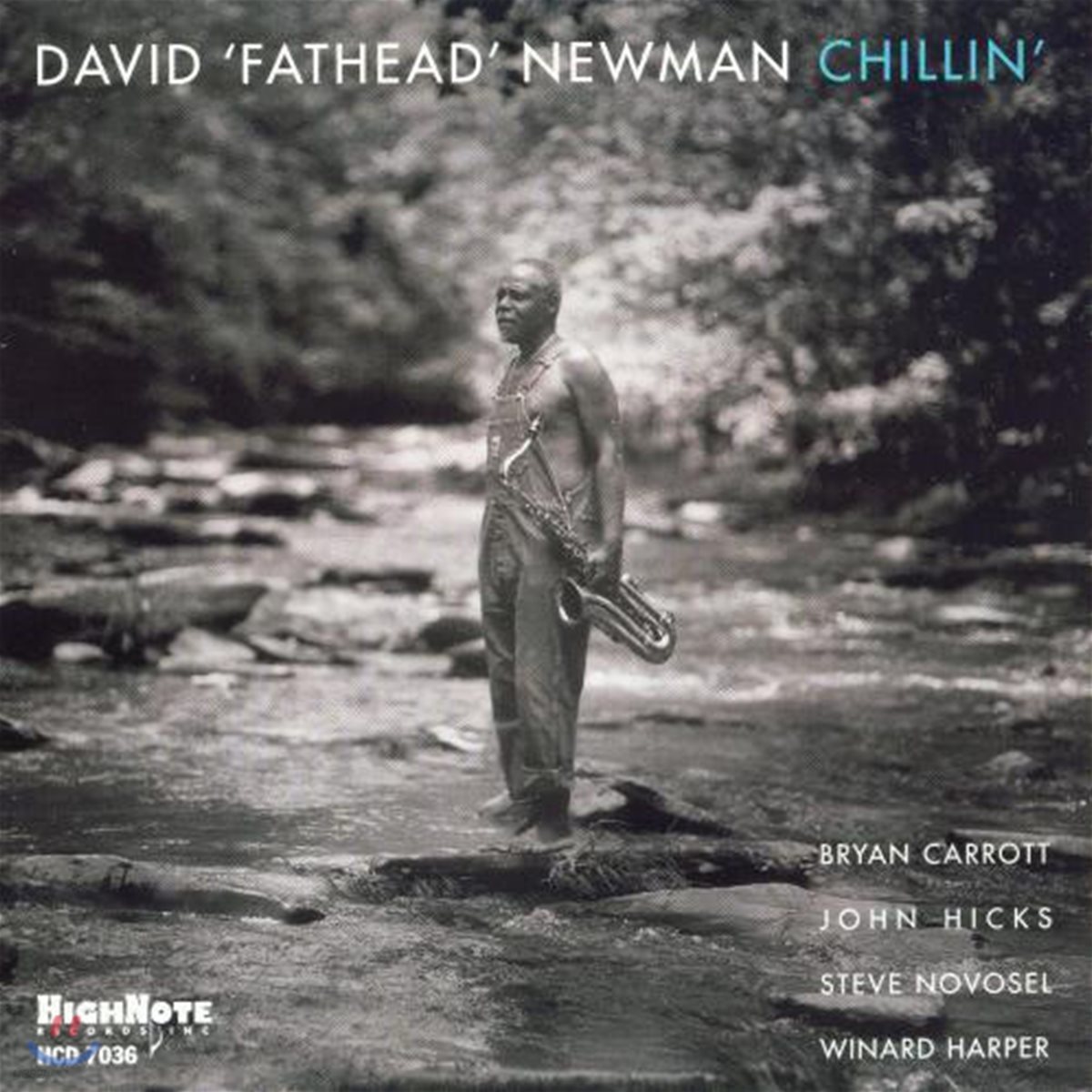 David &#39;Fathead&#39; Newman - Chillin&#39;