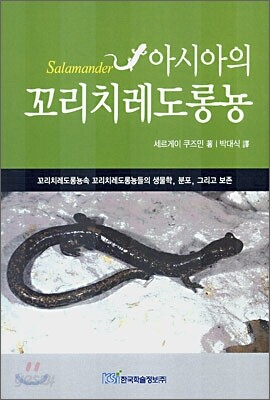 아시아의 꼬리치레도롱뇽