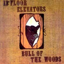 13Th Floor Elevators - Bull Of The Woods ()