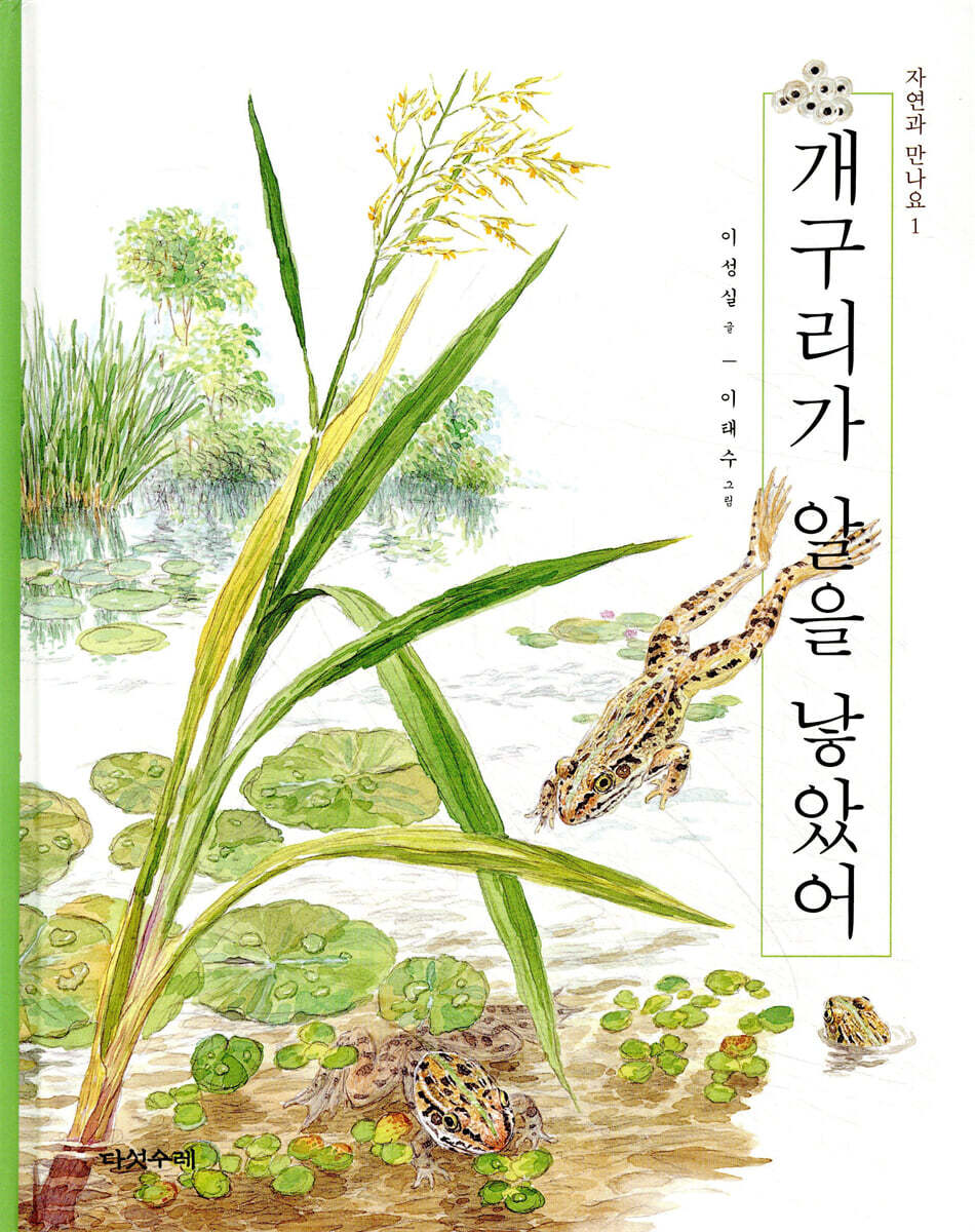 개구리가 알을 낳았어