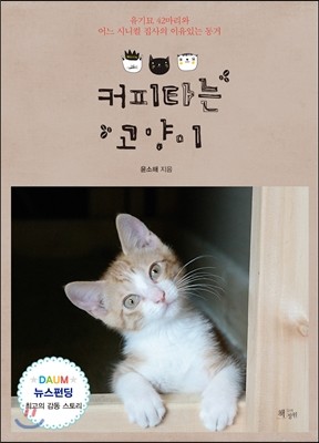 커피타는 고양이 