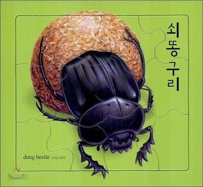 곤충 퍼즐