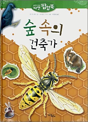숲 속의 건축가