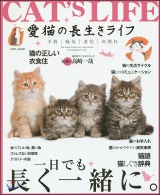 愛猫の長生きライフ