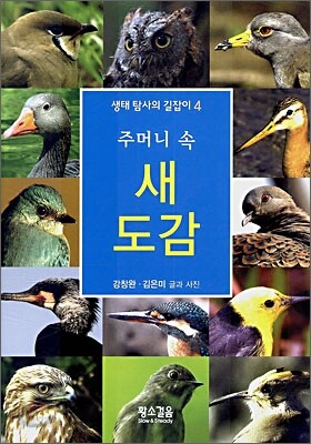 주머니 속 새 도감