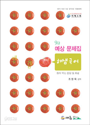 9급 예상 문제집 해냄 국어