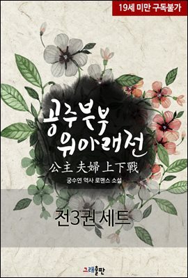 [세트] 공주 부부 위아래전 (전3권) (총3권)