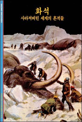 화석 - 디스커버리 총서 10